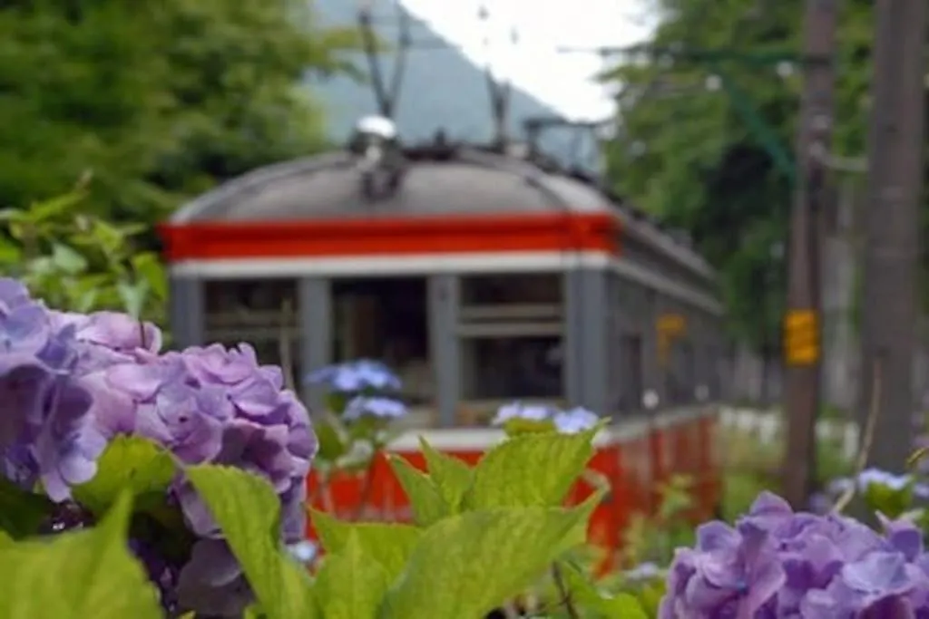 Villa Ek House Hakone Shushinso 箱根修身荘